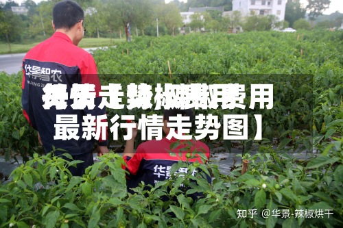 关于【辣椒费用
每天
行情走势,辣椒费用
最新行情走势图】-第3张图片