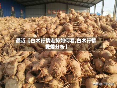 最近【白术行情走势如何看,白术行情费用
行情分析】