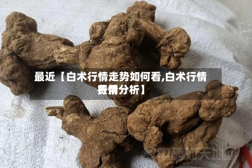 最近【白术行情走势如何看,白术行情费用行情分析】-第2张图片