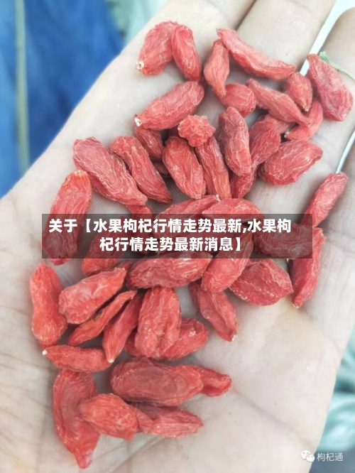 关于【水果枸杞行情走势最新,水果枸杞行情走势最新消息】-第2张图片