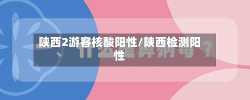 陕西2游客核酸阳性/陕西检测阳性-第2张图片