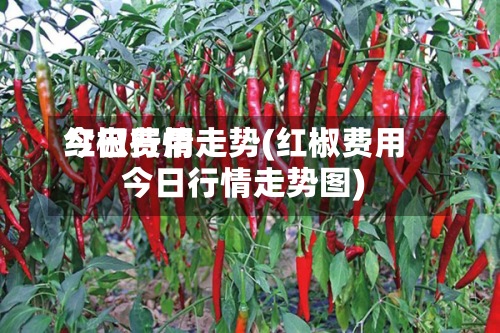 红椒费用
今日行情走势(红椒费用
今日行情走势图)-第3张图片