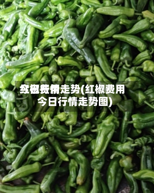 红椒费用
今日行情走势(红椒费用
今日行情走势图)