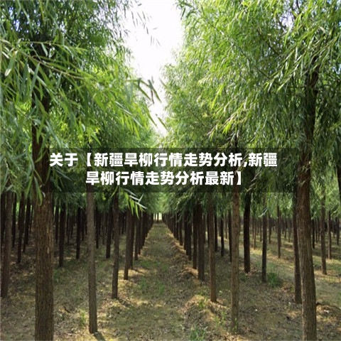 关于【新疆旱柳行情走势分析,新疆旱柳行情走势分析最新】