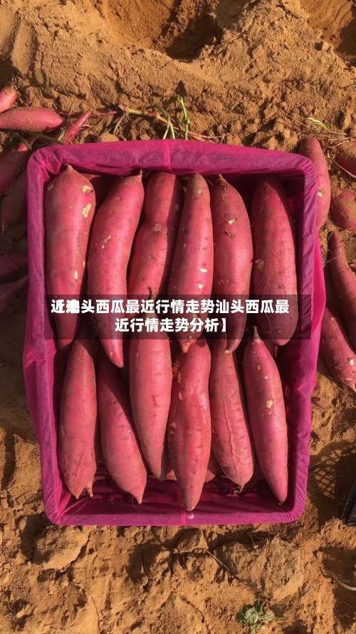 近来
【汕头西瓜最近行情走势汕头西瓜最近行情走势分析】-第2张图片