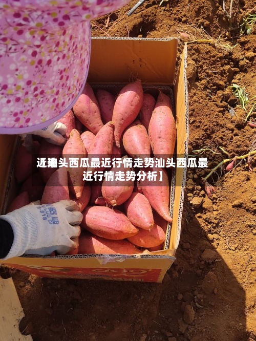 近来
【汕头西瓜最近行情走势汕头西瓜最近行情走势分析】