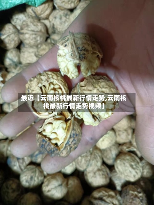 最近【云南核桃最新行情走势,云南核桃最新行情走势视频】