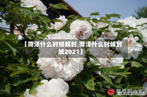 【菏泽什么时候解封,菏泽什么时候封城2021】-第2张图片