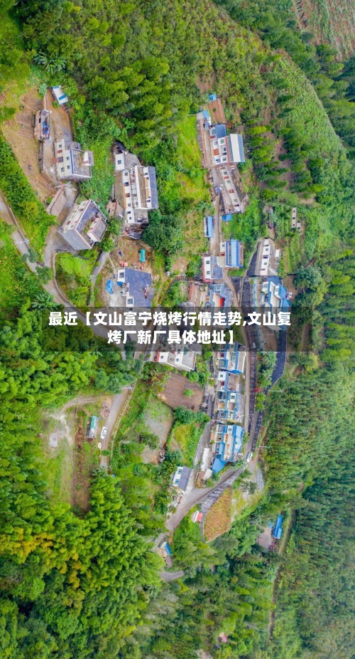 最近【文山富宁烧烤行情走势,文山复烤厂新厂具体地址】-第3张图片