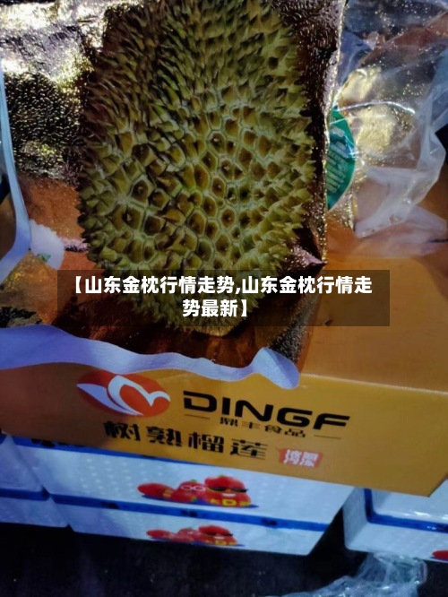 【山东金枕行情走势,山东金枕行情走势最新】