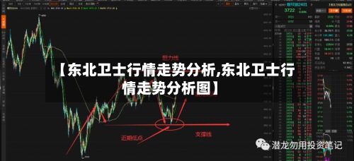 【东北卫士行情走势分析,东北卫士行情走势分析图】-第2张图片