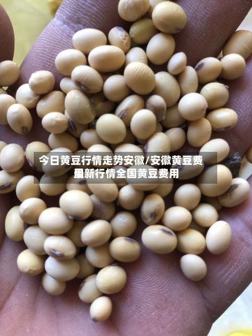 今日黄豆行情走势安徽/安徽黄豆费用
最新行情全国黄豆费用
-第2张图片