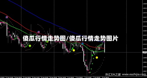 傻瓜行情走势图/傻瓜行情走势图片-第2张图片