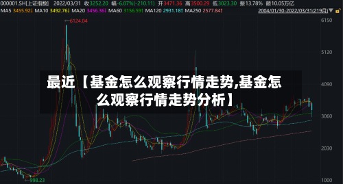 最近【基金怎么观察行情走势,基金怎么观察行情走势分析】-第2张图片