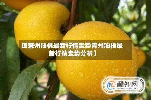 近来【青州油桃最新行情走势青州油桃最新行情走势分析】