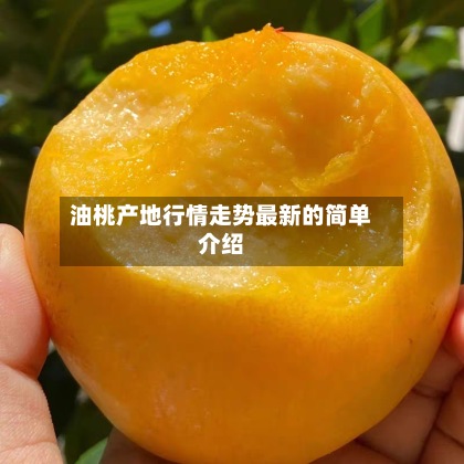 油桃产地行情走势最新的简单介绍-第2张图片