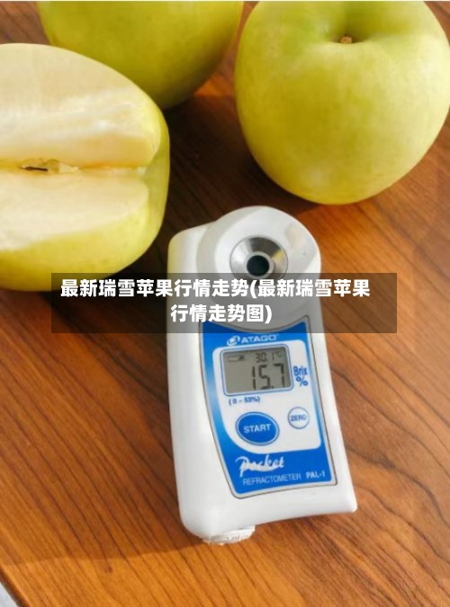 最新瑞雪苹果行情走势(最新瑞雪苹果行情走势图)-第3张图片