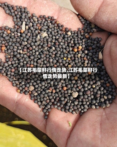 【江苏毛菜籽行情走势,江苏毛菜籽行情走势最新】