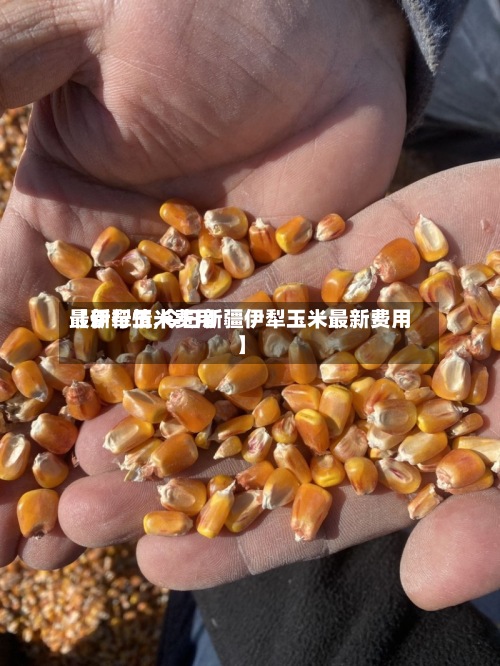 【伊犁玉米费用
最新行情,今日新疆伊犁玉米最新费用
】-第2张图片