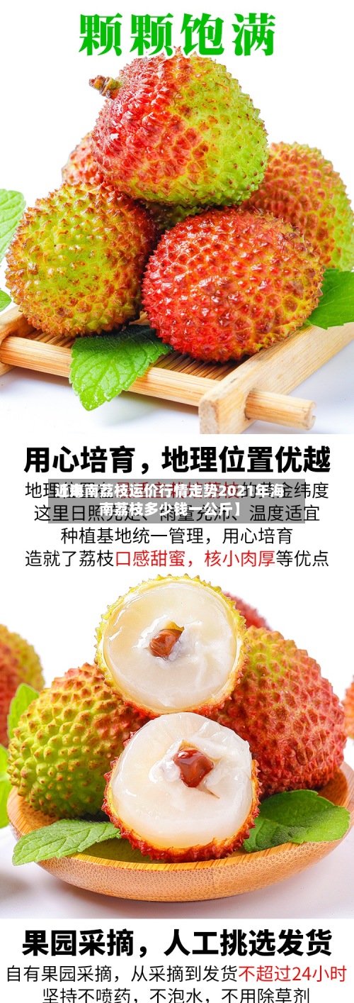 近来【海南荔枝运价行情走势2021年海南荔枝多少钱一公斤】-第2张图片