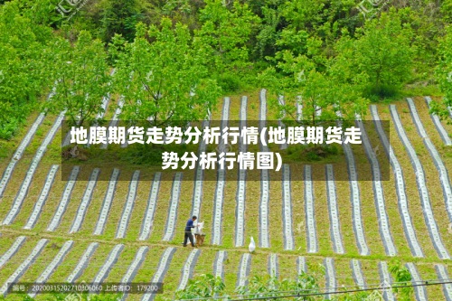 地膜期货走势分析行情(地膜期货走势分析行情图)-第2张图片