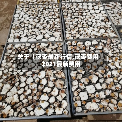 关于【茯苓最新行情,茯苓费用2021最新费用】-第3张图片
