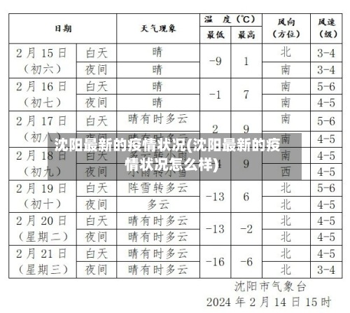 沈阳最新的疫情状况(沈阳最新的疫情状况怎么样)