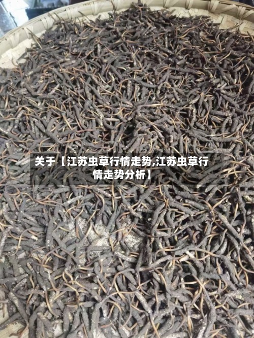 关于【江苏虫草行情走势,江苏虫草行情走势分析】-第2张图片