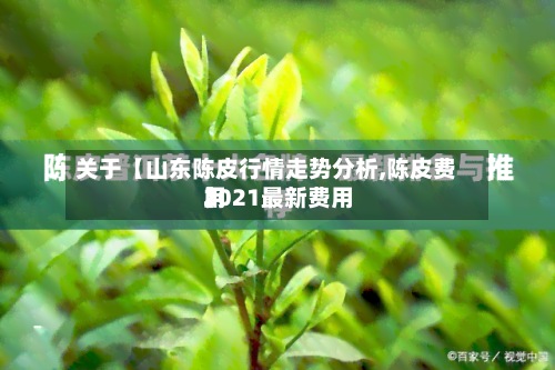 关于【山东陈皮行情走势分析,陈皮费用2021最新费用】