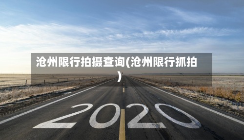 沧州限行拍摄查询(沧州限行抓拍)-第2张图片