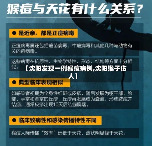 【沈阳发现一例猴痘病例,沈阳猴子伤人】-第2张图片