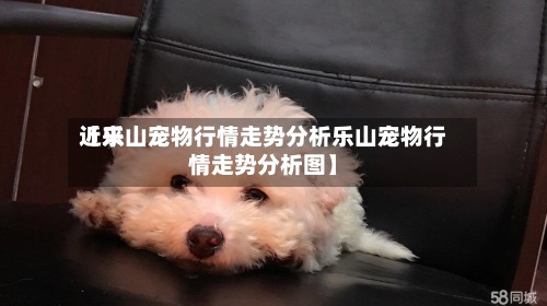 近来
【乐山宠物行情走势分析乐山宠物行情走势分析图】