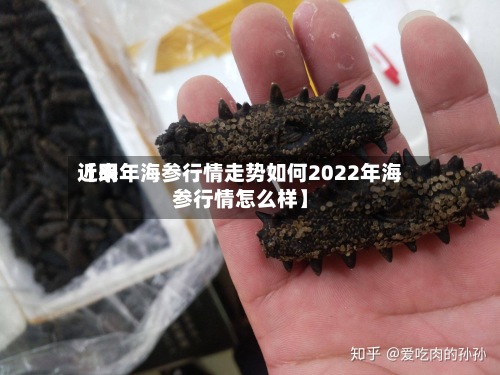 近来【明年海参行情走势如何2022年海参行情怎么样】-第3张图片