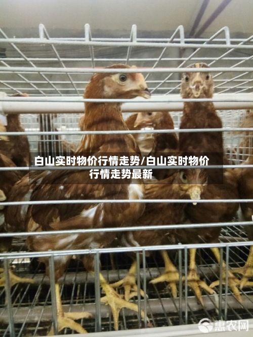 白山实时物价行情走势/白山实时物价行情走势最新-第2张图片