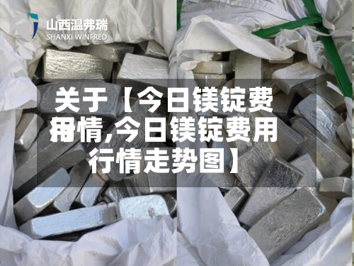 关于【今日镁锭费用
行情,今日镁锭费用
行情走势图】-第2张图片