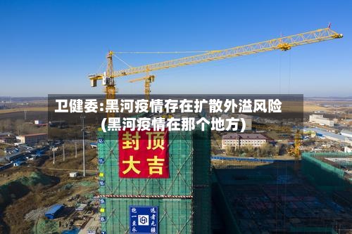 卫健委:黑河疫情存在扩散外溢风险(黑河疫情在那个地方)