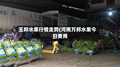 王邦水果行情走势(河南万邦水果今日费用
)-第2张图片