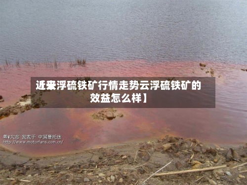 近来【云浮硫铁矿行情走势云浮硫铁矿的效益怎么样】