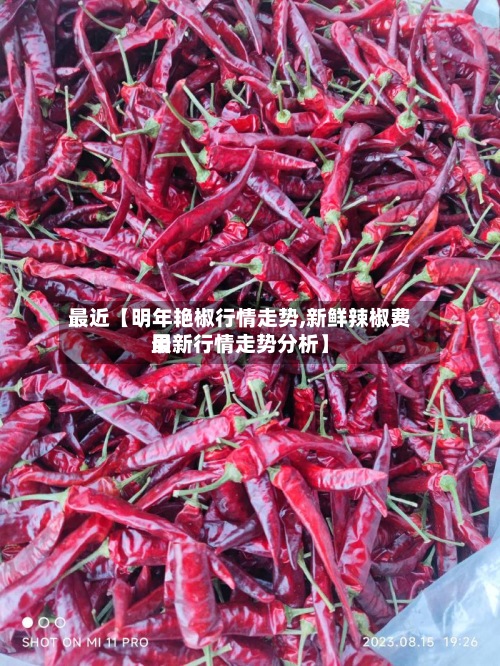 最近【明年艳椒行情走势,新鲜辣椒费用
最新行情走势分析】-第2张图片