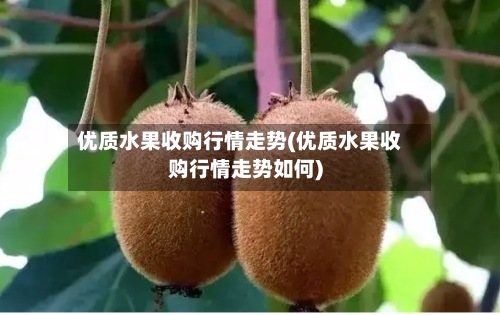 优质水果收购行情走势(优质水果收购行情走势如何)-第2张图片