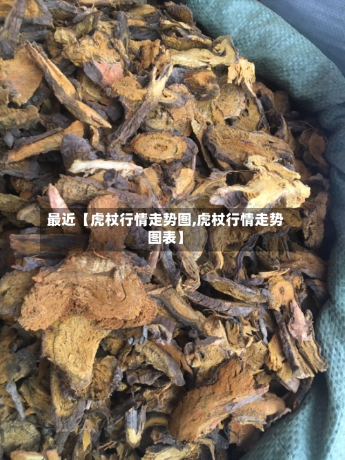 最近【虎杖行情走势图,虎杖行情走势图表】