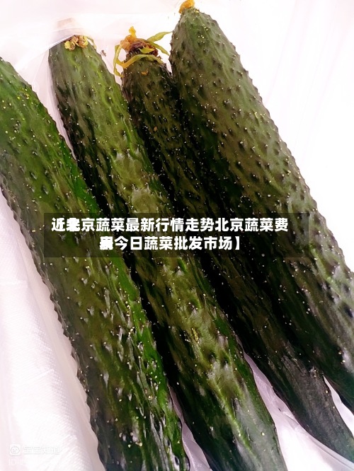 近来【北京蔬菜最新行情走势北京蔬菜费用表今日蔬菜批发市场】