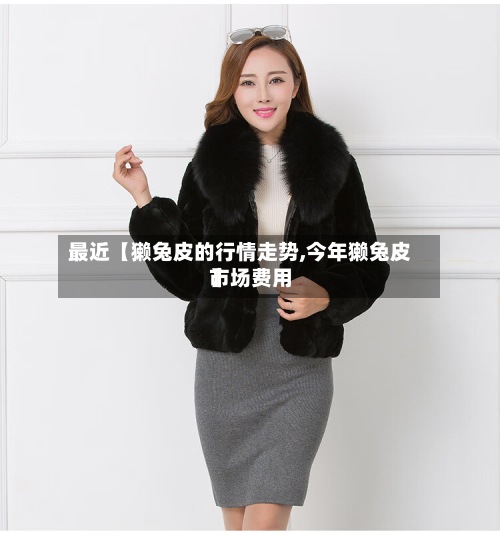 最近【獭兔皮的行情走势,今年獭兔皮市场费用
】-第2张图片