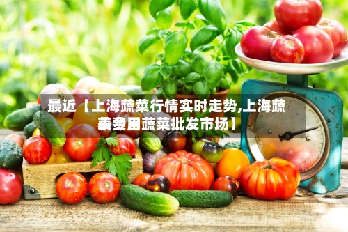 最近【上海蔬菜行情实时走势,上海蔬菜费用
表今日蔬菜批发市场】-第2张图片