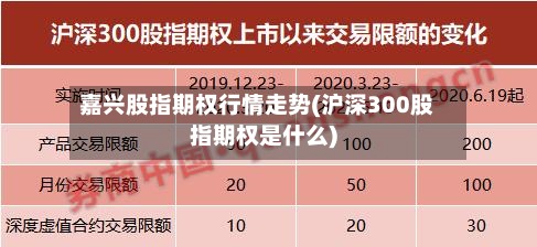 嘉兴股指期权行情走势(沪深300股指期权是什么)