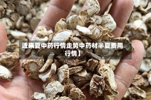 近来【半夏中药行情走势中药材半夏费用行情】