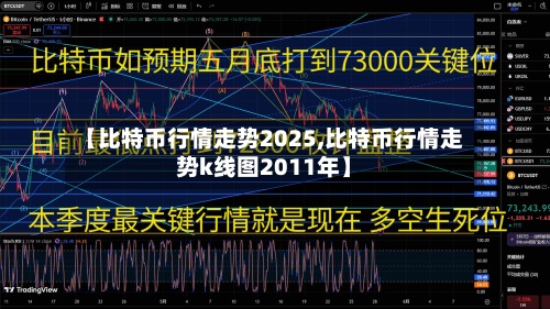 【比特币行情走势2025,比特币行情走势k线图2011年】-第3张图片