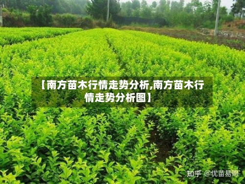 【南方苗木行情走势分析,南方苗木行情走势分析图】