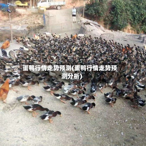 蛋鸭行情走势预测(蛋鸭行情走势预测分析)