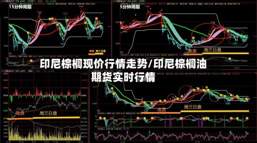 印尼棕榈现价行情走势/印尼棕榈油期货实时行情